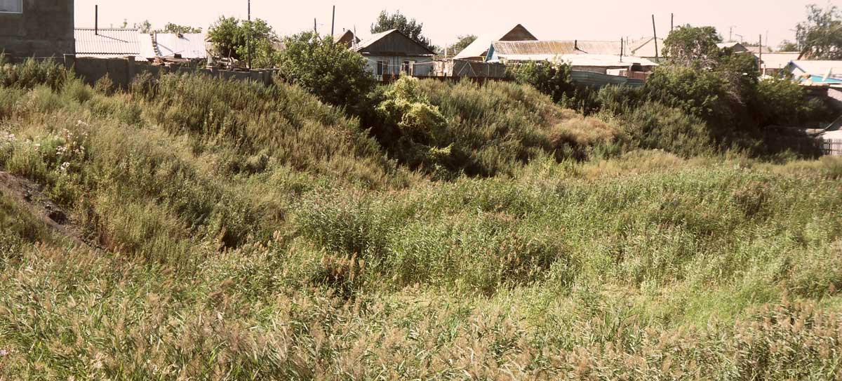 Лог Абиль-Сай. Фото Духина Я.К. г. Костанай, 2011 г.