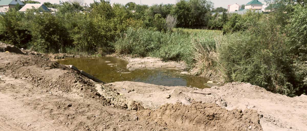  Овраг у пивзавода. Фото Духина Я.К. г. Костанай, 2011 г.