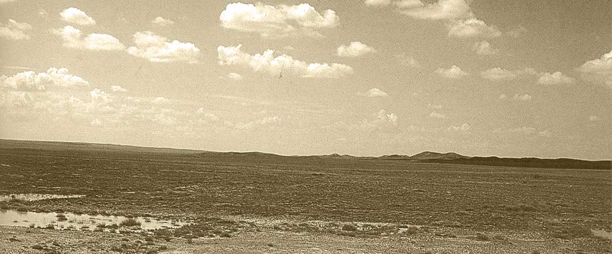 Степи Кустанайские. Фото Духина Я.К.